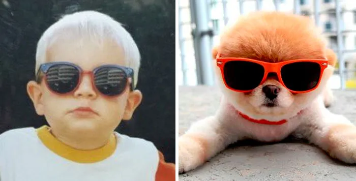 You Are Dog Now