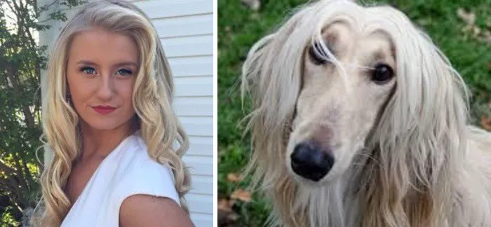 You Are Dog Now