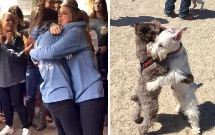 You Are Dog Now