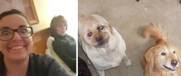 You Are Dog Now