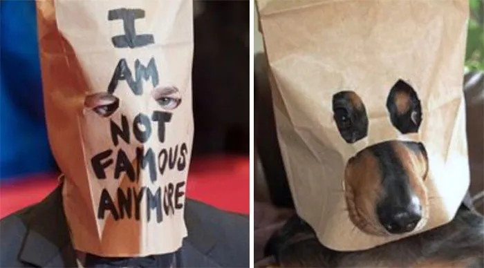 You Are Dog Now