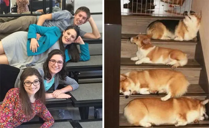 You Are Dog Now