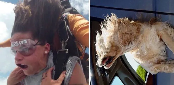 You Are Dog Now
