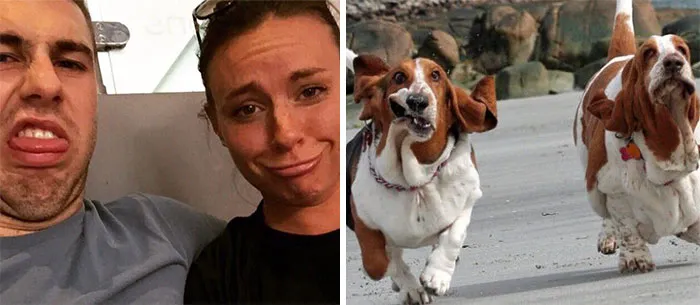 You Are Dog Now