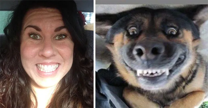 You Are Dog Now