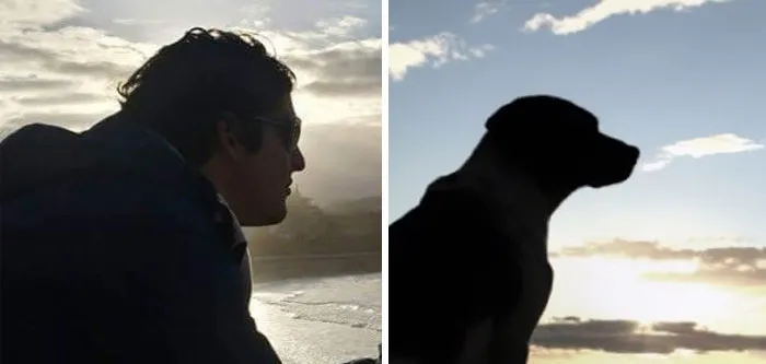 You Are Dog Now