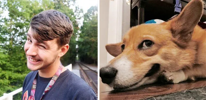 You Are Dog Now