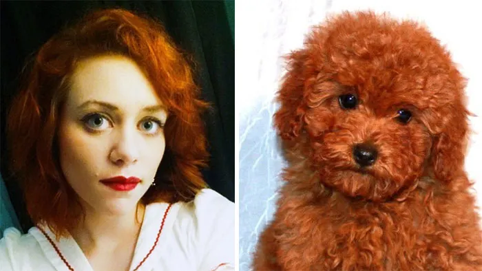 You Are Dog Now