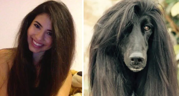 You Are Dog Now