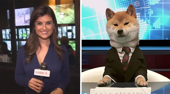 You Are Dog Now