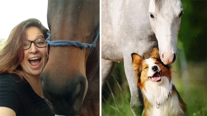 You Are Dog Now