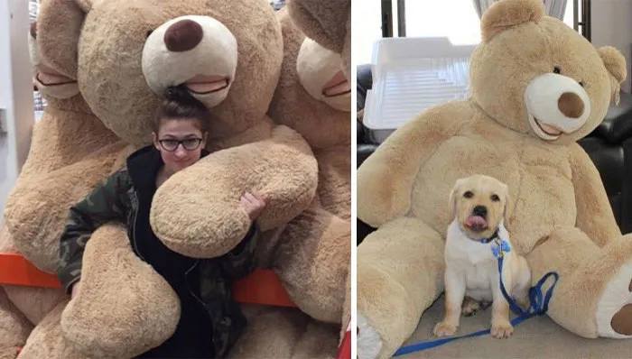 You Are Dog Now