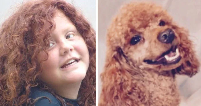 You Are Dog Now