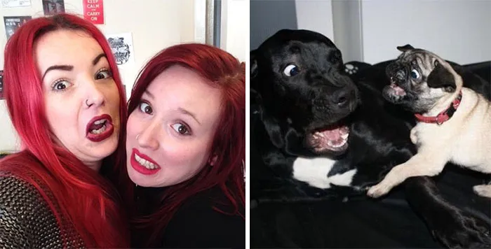 You Are Dog Now