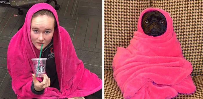 You Are Dog Now