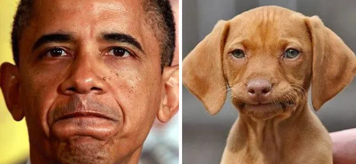 You Are Dog Now