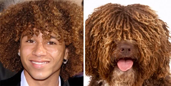 You Are Dog Now
