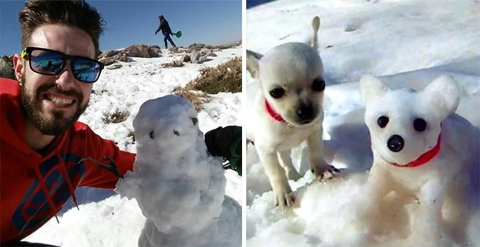 You Are Dog Now