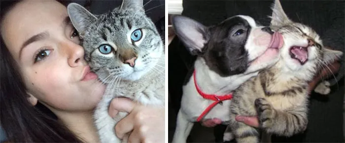 You Are Dog Now
