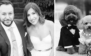 This Twitter Finds People's Dog Doppelgängers And It's Hilarious