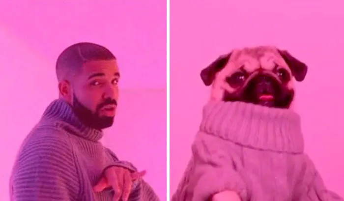 You Are Dog Now