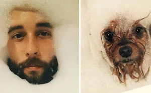 This Twitter Finds People's Dog Doppelgängers And It's Hilarious