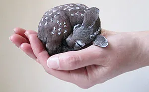 I Create Animal Pillows For People Who Love Nature, Dreams And Fairy Tales