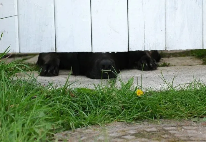 When Are You Coming Home?