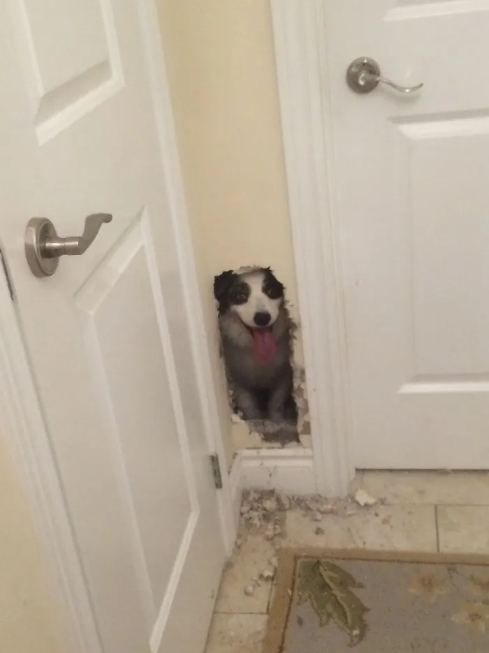 Welcome Home!