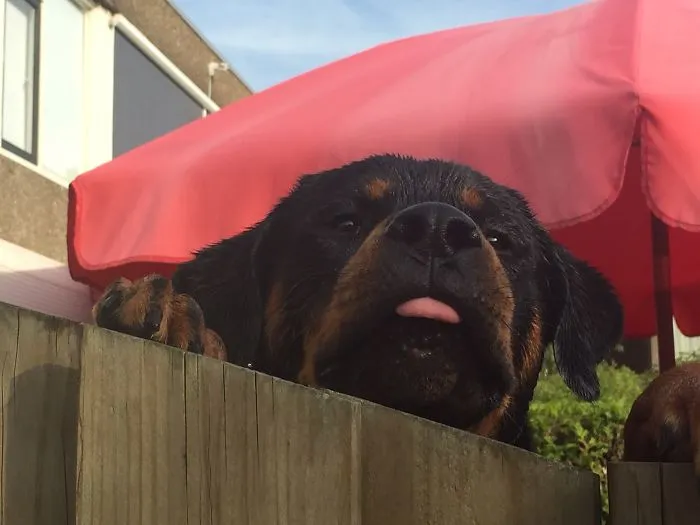 Hi There!!