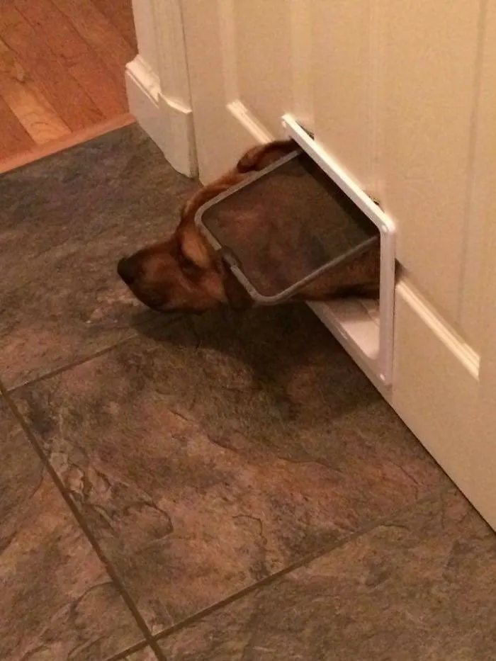 Every Time We Order Delivery.