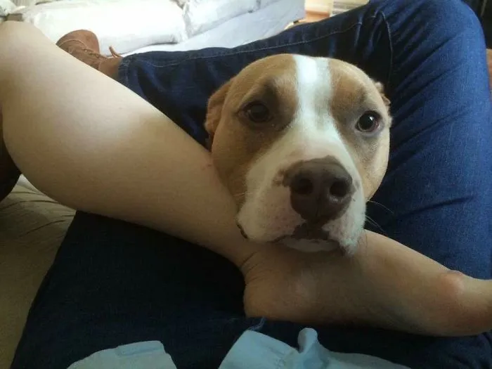 When You're Not Allowed On The Couch.