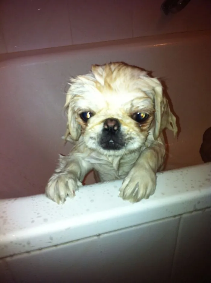 She Hates Shower