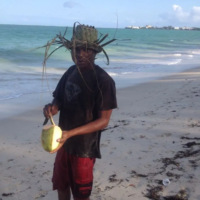 Coconut Art