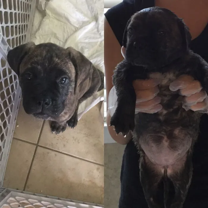 Before After
