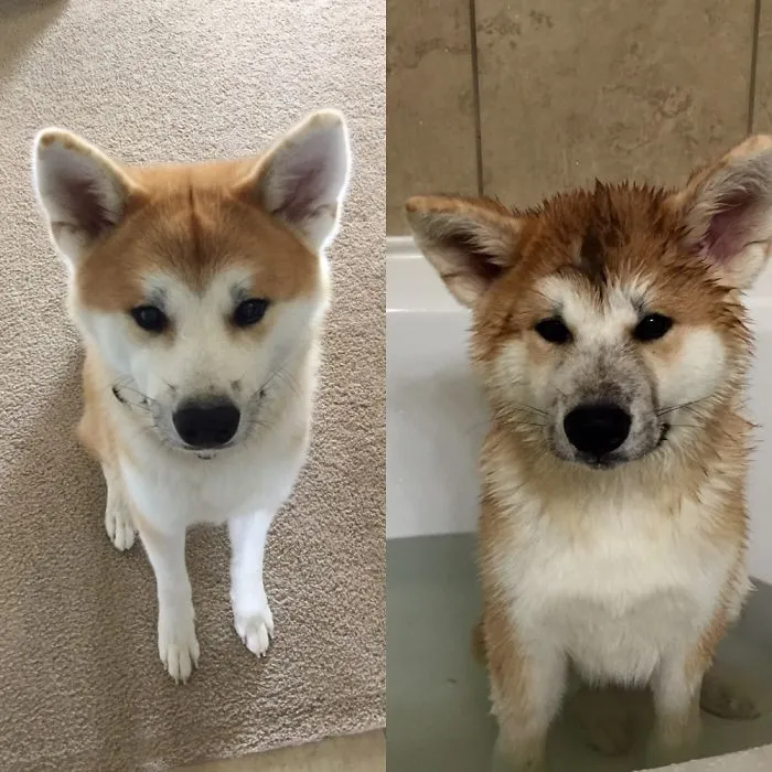 Before After