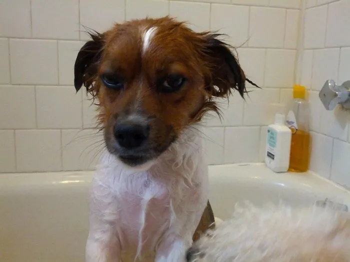 After Bath