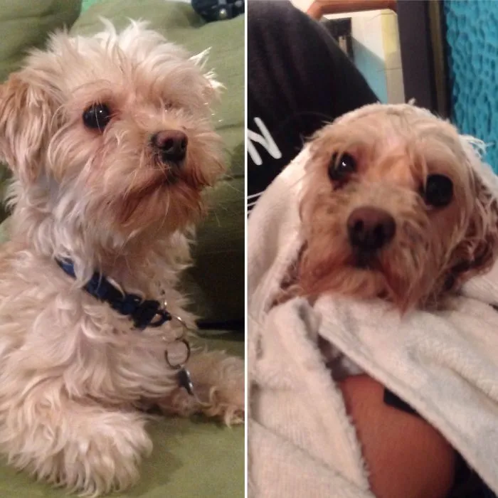 Before Vs After Bath
