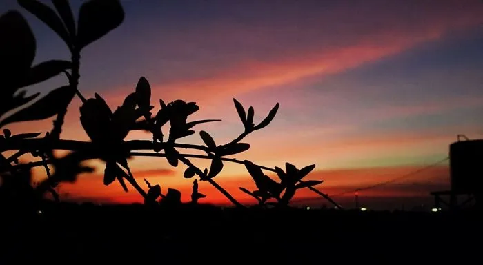Sunset View At Kupang, East Nusa Tenggara, Indonesia