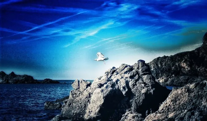 #labaule