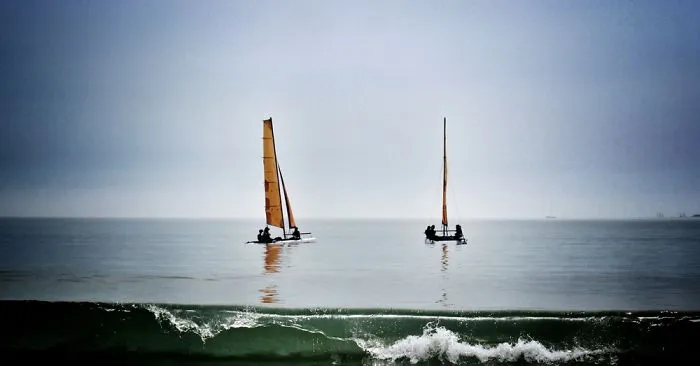 #labaule