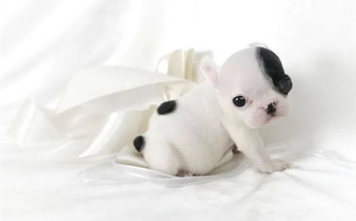 Just So Cute