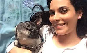 Mi Boston Terrier