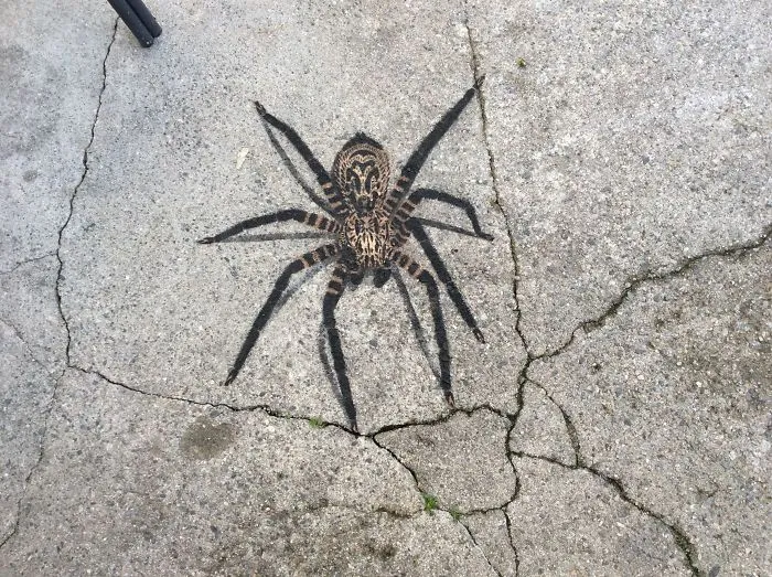 Even The Pavement Wasn't Safe