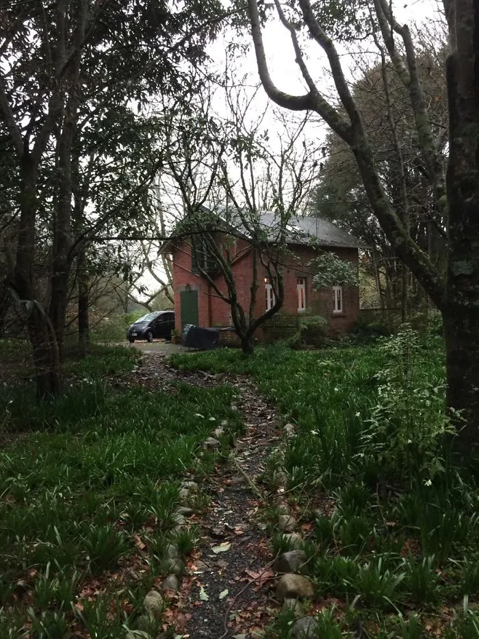 House In The Woods