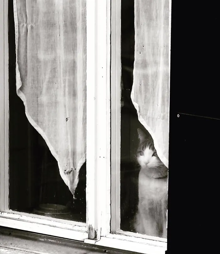 The Seer