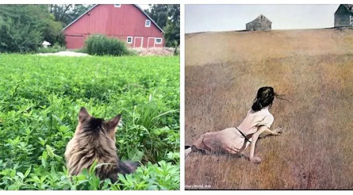 Wyeth Not?