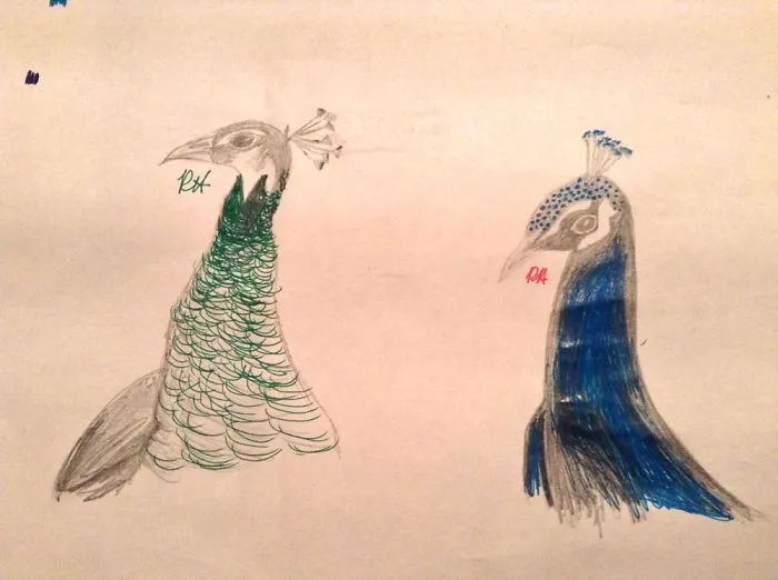 Some Of The Artwork I Did Last Year.