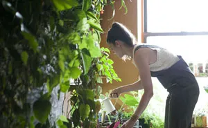 Woman Uses 500 Lush Plants To Turn Her Brooklyn Apartment Into Indoor Jungle
