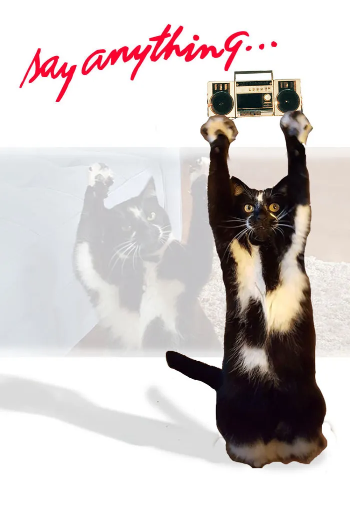 Meow Anything...